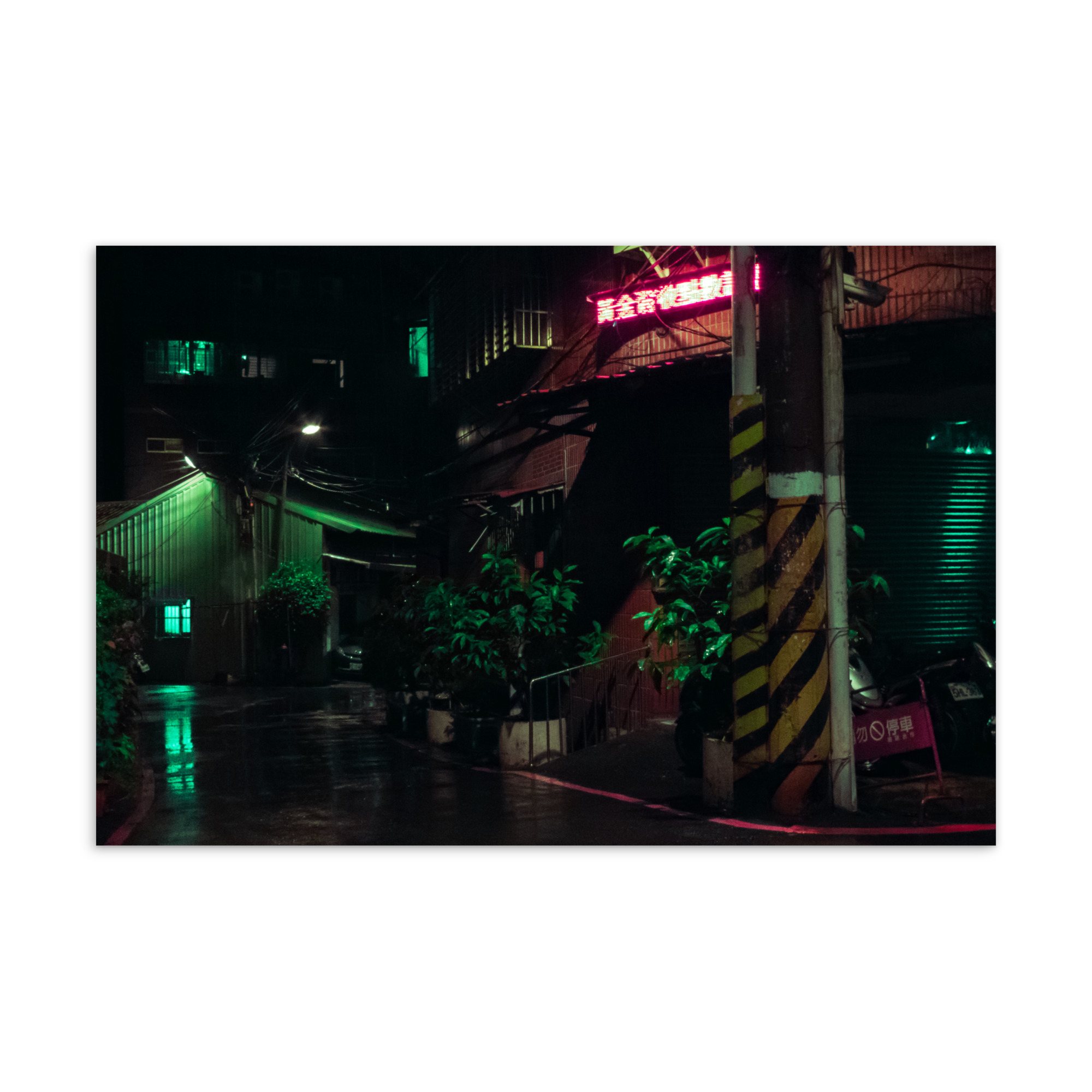 Quiet Taipei street corner at night with hazard poles and tropical plants in green ambient light, original photography postcard print