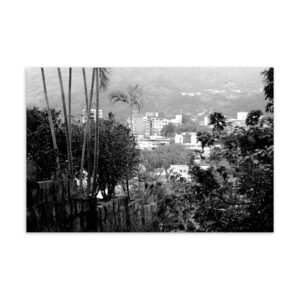 Beitou Mountain Veil looks through palm fronds and tangled foliage toward a hillside district half-hidden by haze, the city and the mountain blurring at their edges.