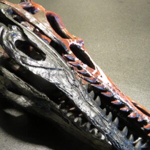 Oddities & Curiosities